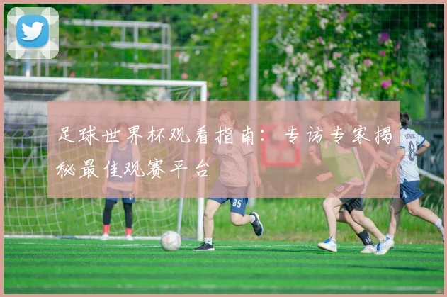 足球世界杯观看指南：专访专家揭秘最佳观赛平台